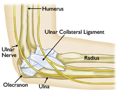 ELBOW Img About