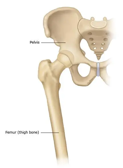 Hip surgery and hip replacement Dubai