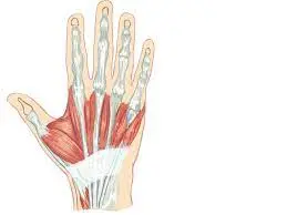 Wrist arthroscopy Dubai